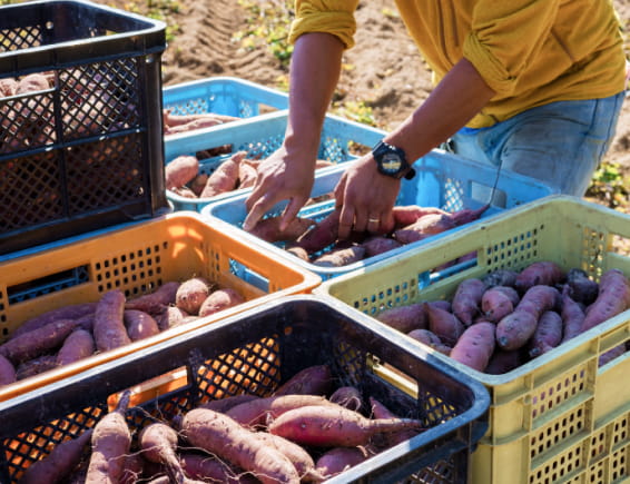 ギャラリー画像2