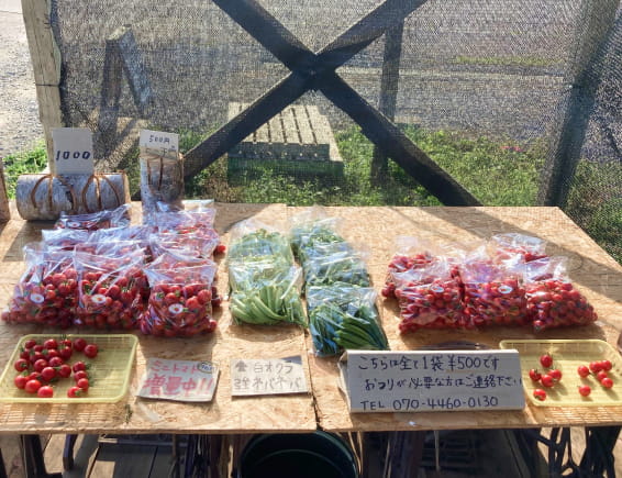 ギャラリー画像4