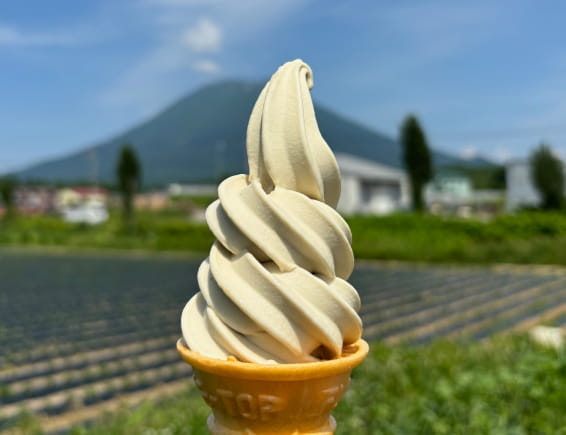 ギャラリー画像5